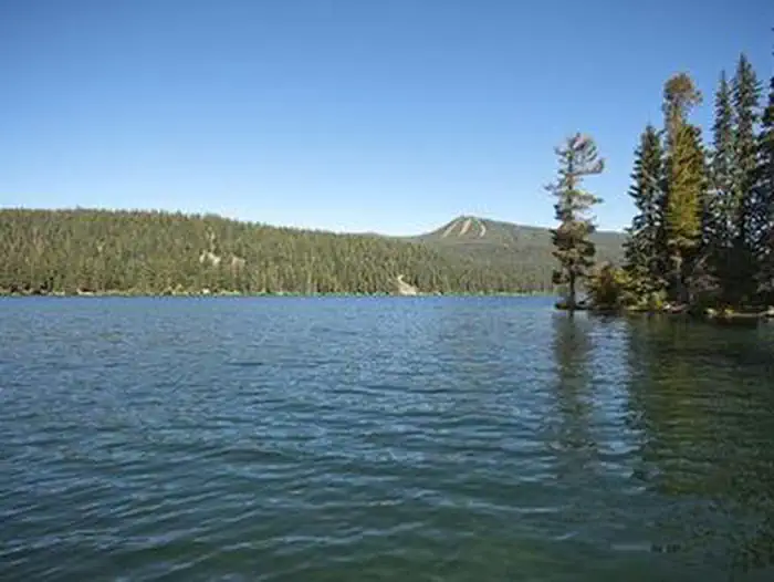 Trapper Creek Campground — Trapper Creek Campground