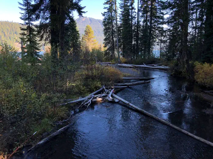Trapper Creek Campground — Trapper Creek