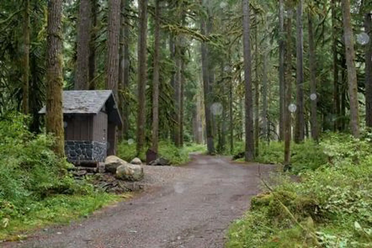 Boulder Creek Campground — Boulder Creek Campground