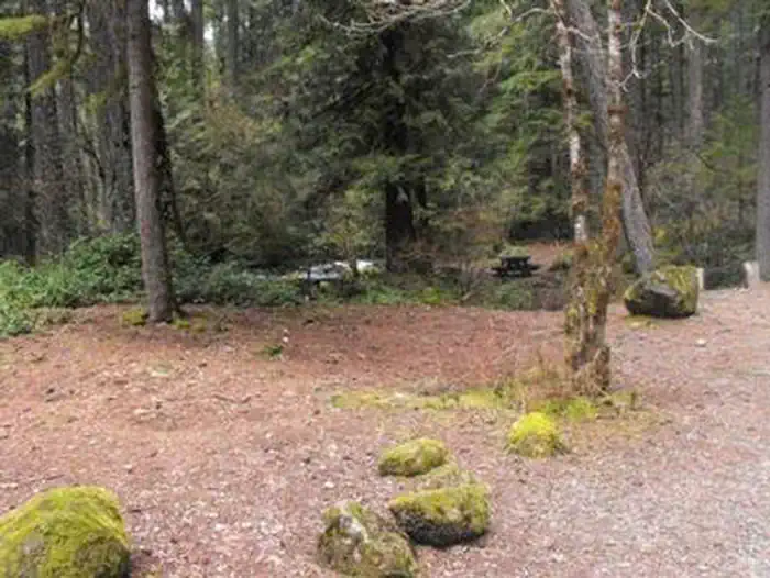 Olallie on McKenzie Highway - Willamette (OR) — OLALLIE ON MCKENZIE HIGHWAY