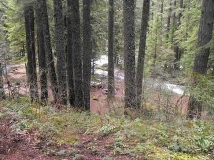 Olallie Campground