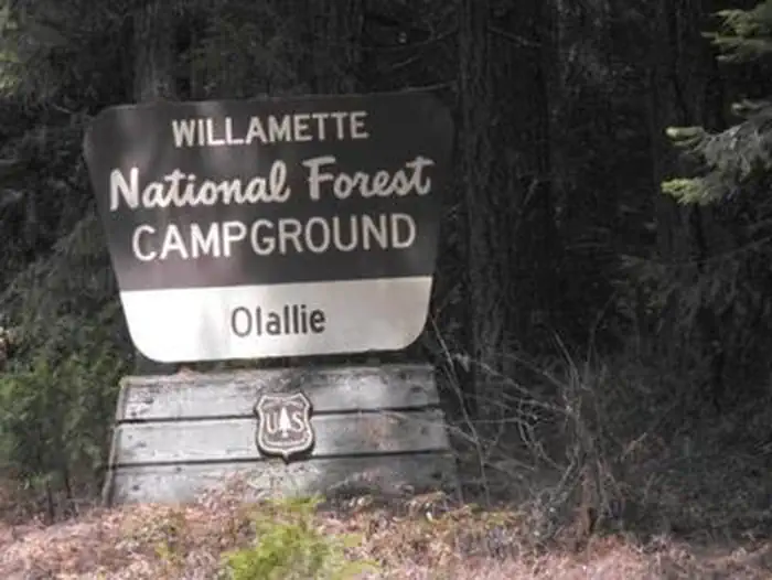 Olallie on McKenzie Highway - Willamette (OR) — OLALLIE ON MCKENZIE HIGHWAY