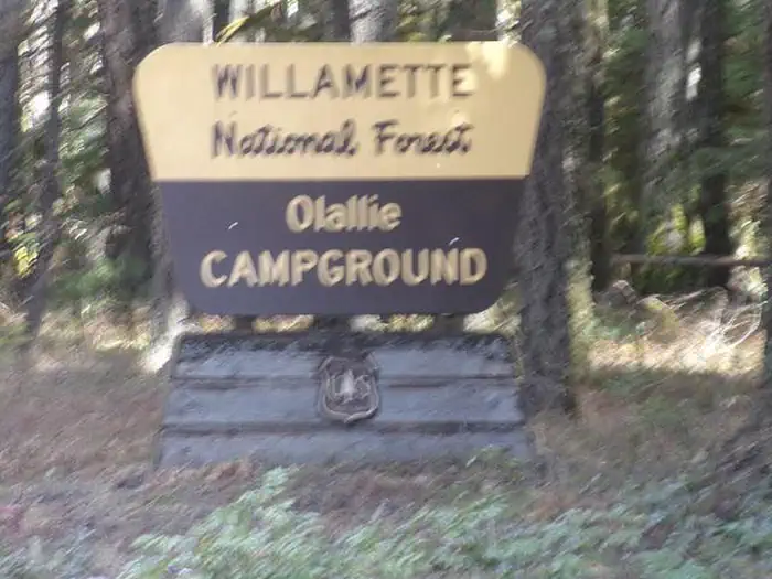 Olallie on McKenzie Highway - Willamette (OR) — Olallie Campground
