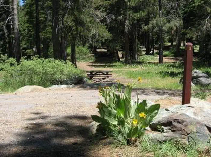 SALMON CREEK — Salmon Creek Campground