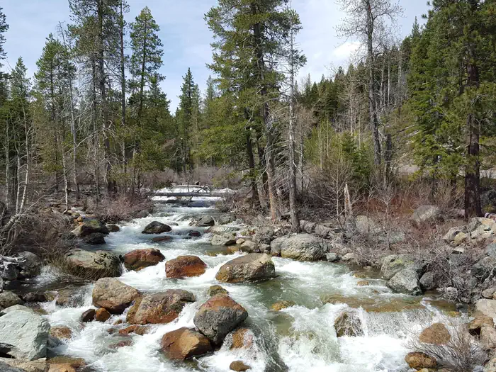 SALMON CREEK — Salmon Creek