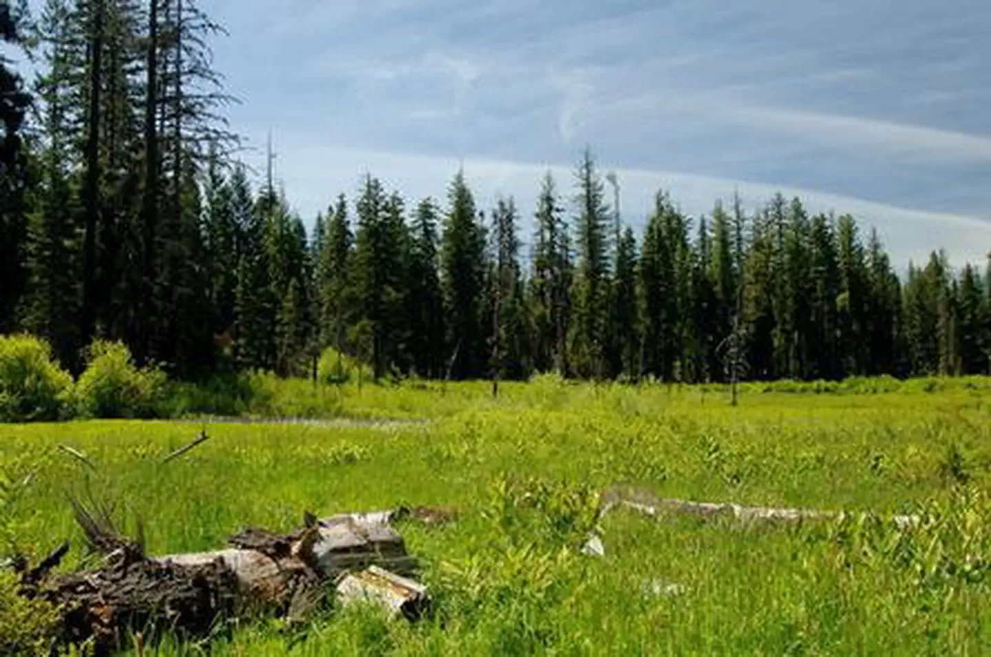 Willow Prairie Cabin — WILLOW PRAIRIE CABIN