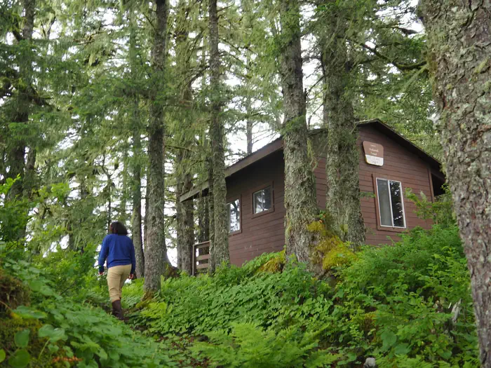 Gut Island 1 Cabin — Someone walking up to a brown cabin with lots of trees around