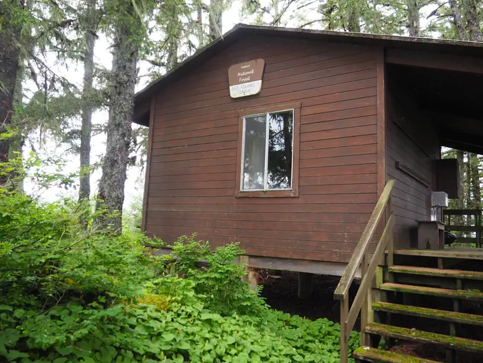 Gut Island 1 Cabin — Brown cabin with greenery surrounding it
