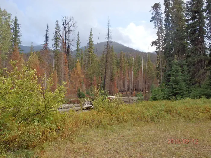 PLEASANT VALLEY CAMPGROUND — Pleasant Valley