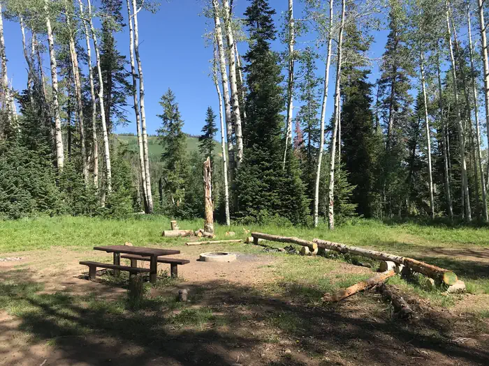 MILLER FLAT RESERVOIR CAMPGROUND — Miller Flat Reservoir Campground Site 4