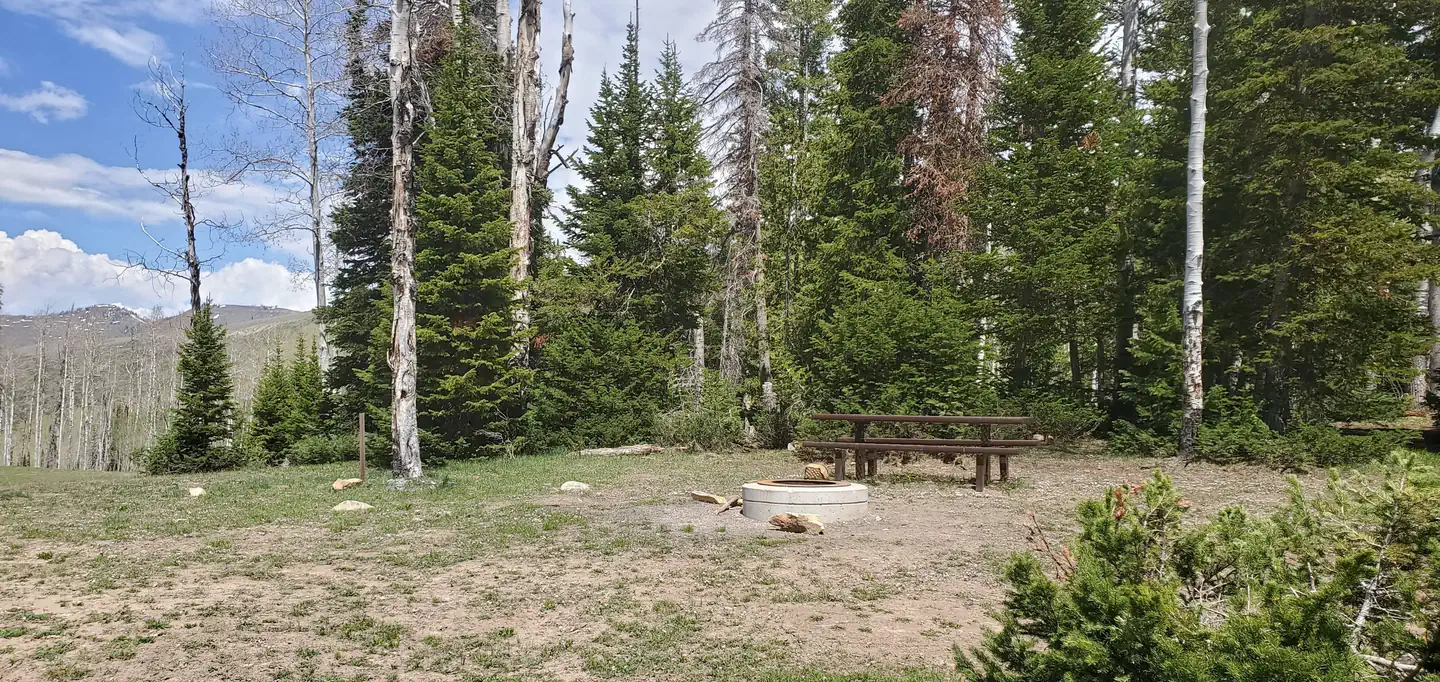 MILLER FLAT RESERVOIR CAMPGROUND — Miller Flat Reservoir Campground Site 2