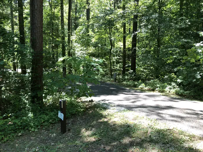 Tipsaw Lake — site post