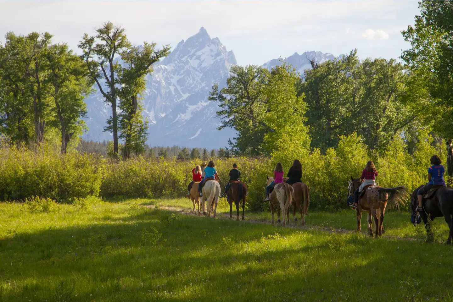 Colter Bay Village Campground — Colter Bay Horseback Riding