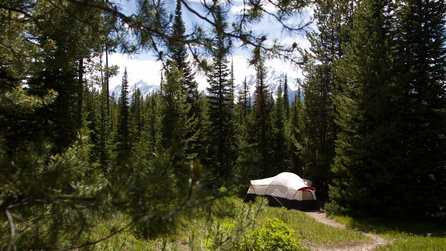 Colter Bay Village Campground