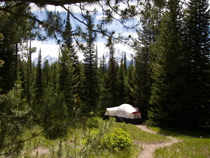 Colter Bay Village Campground — Colter Bay Village
