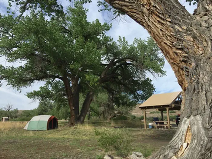 Cottonwood Grove Campground — Cottonwood Grove Campground
