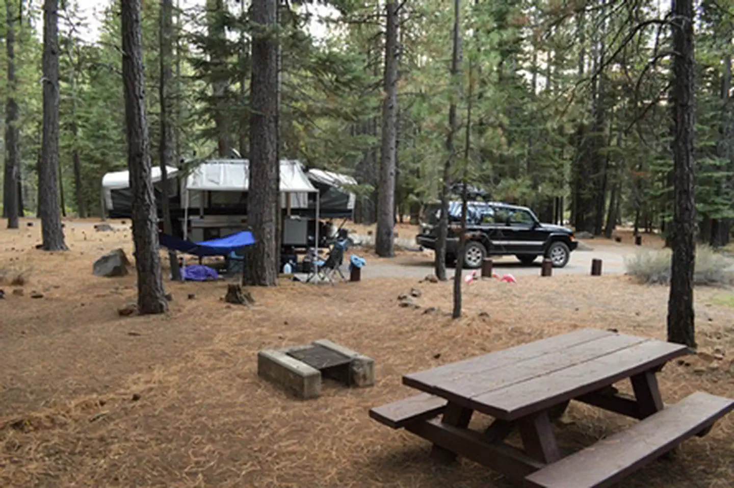 Cottonwood Grove Campground — Cottonwood Grove Campground