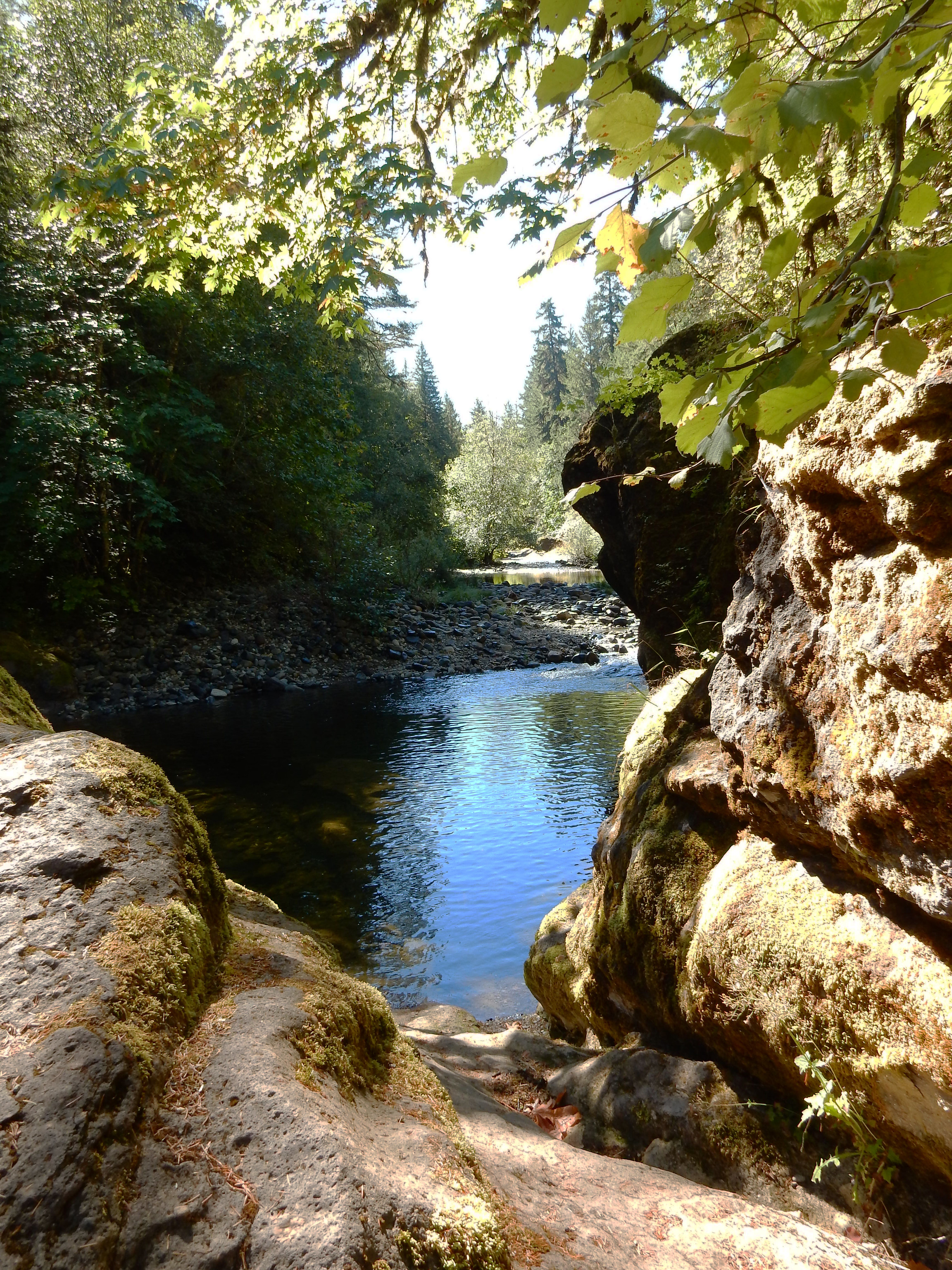 Sharps Creek