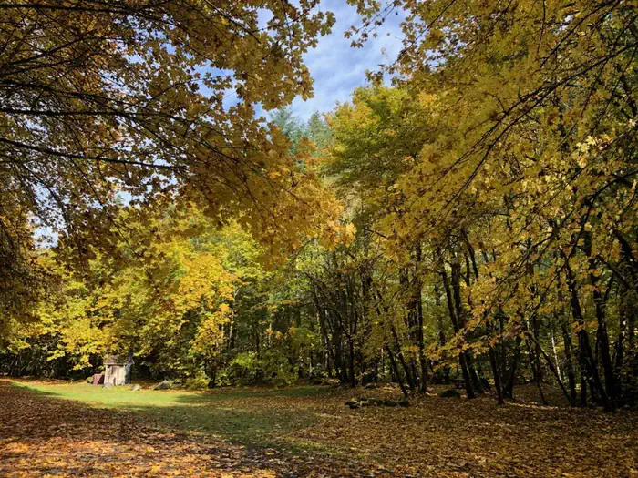 East Fork Campground – Six Rivers NF (CA) — Fall in East Fork Campground