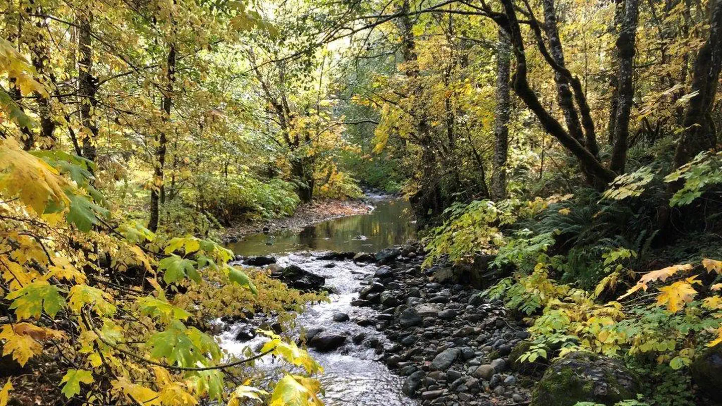 East Fork Campground – Six Rivers NF (CA)