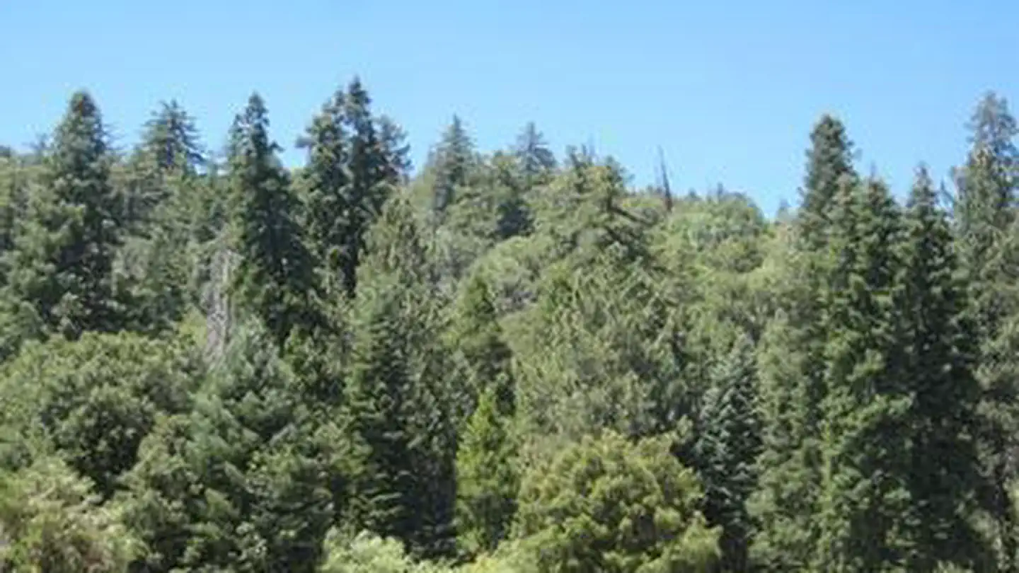 Observatory Campground