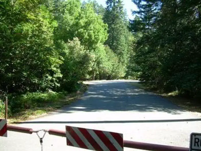 CHINQUAPIN GROUP CAMPGROUND — CHINQUAPIN GROUP CAMPGROUND