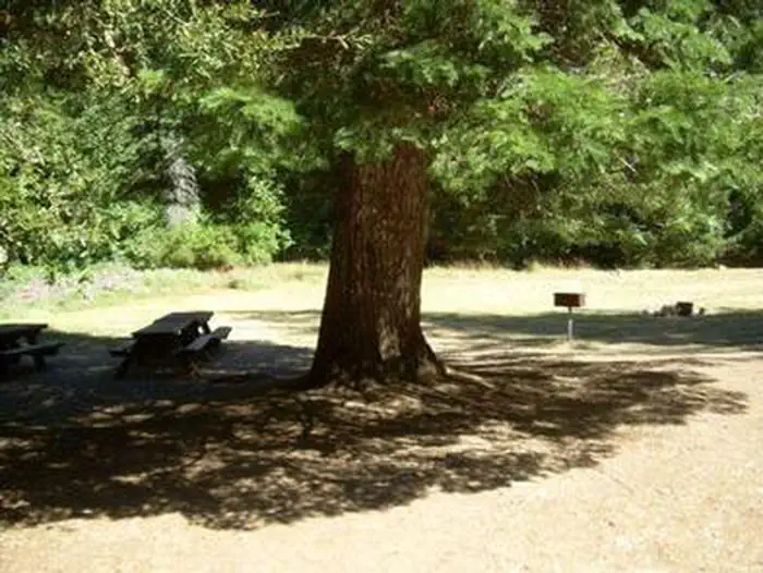 CHINQUAPIN GROUP CAMPGROUND — CHINQUAPIN GROUP CAMPGROUND