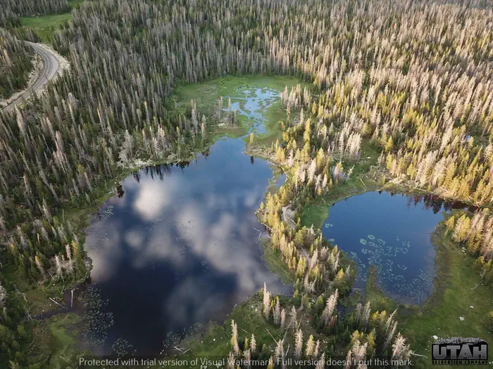 MIRROR LAKE — MIRROR LAKE CAMPGROUND 5
