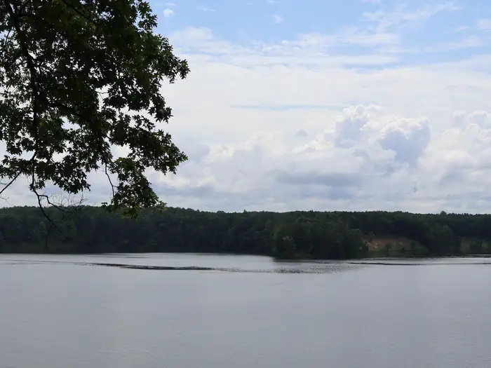 Upper Manistee River Backcountry Campsites — View of Manistee River Backwaters
