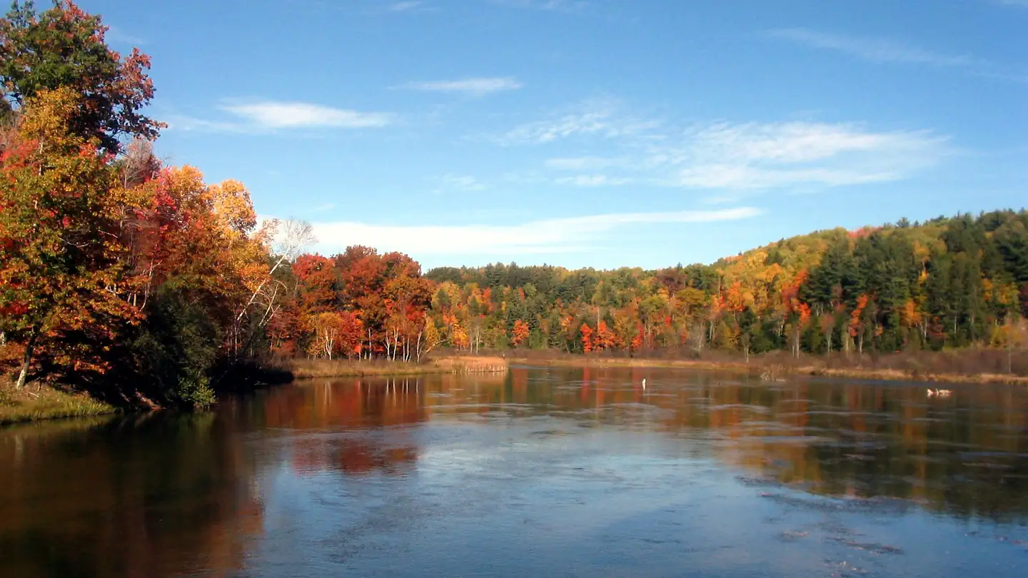 Upper Manistee River Backcountry Campsites