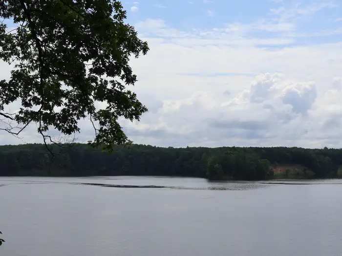 Upper Manistee River Backcountry Campsites — Upper Manistee Backwaters Vista