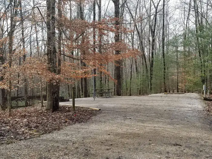 Station Camp Campground — Picnic table sits on gravel pad near woodline.