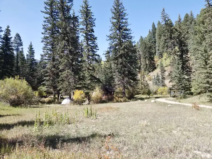 Panchuela — A meadow with spruce and changing fall colors from shrubs in the campground.
