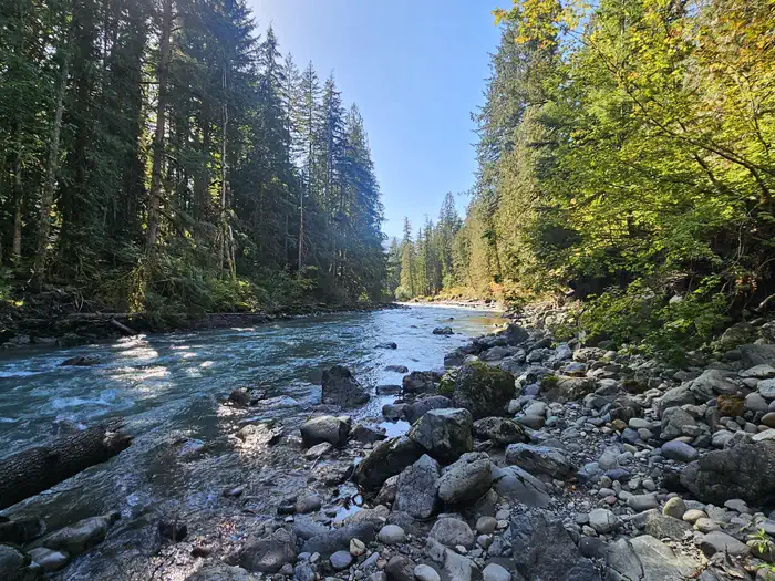 Douglas Fir Campground — Additional North Fork Nooksack River view