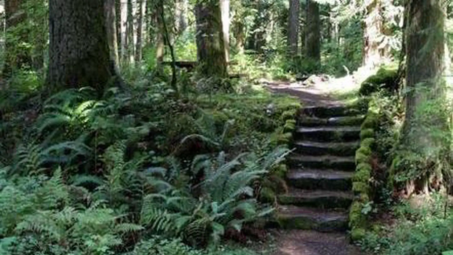 Douglas Fir Campground — Douglas Fir stairs