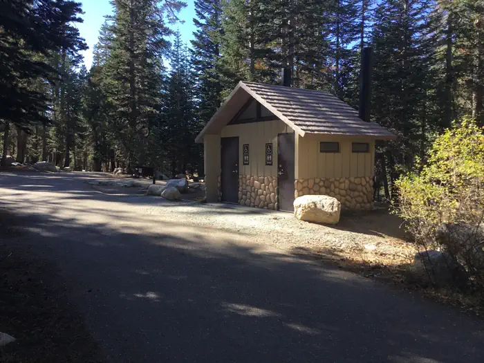 (Lake Alpine) Pine Marten — Vault toilet