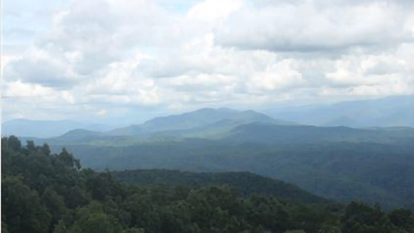 Look Rock Campground - Great Smoky Mountains (Re-Opened 2023)