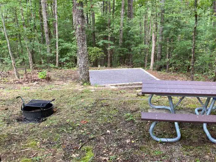 Look Rock Campground — Look Rock Campsite view