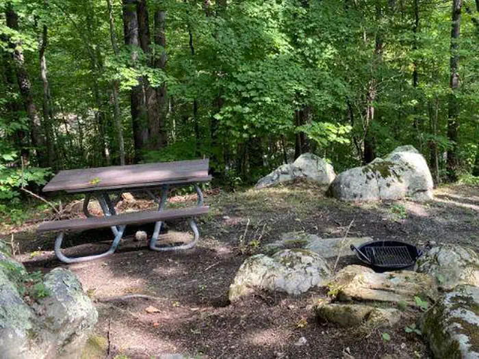 Look Rock Campground — Look Rock Campsite