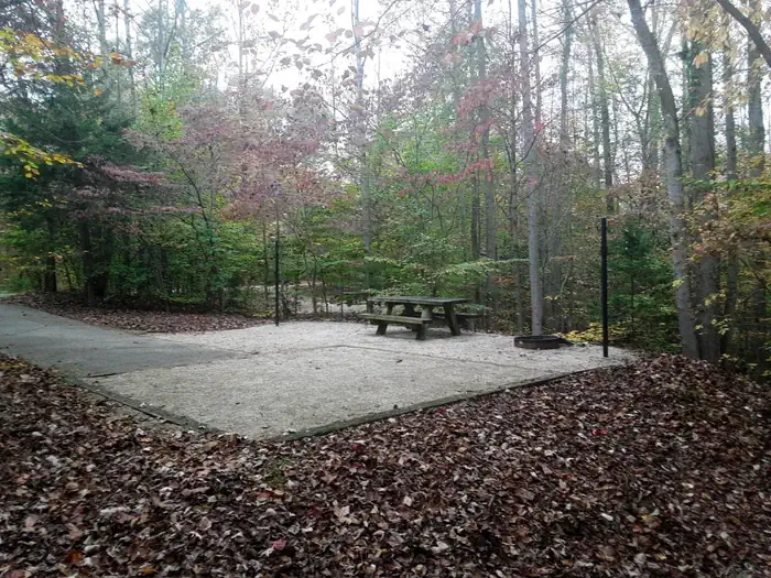 ZILPO - DANIEL BOONE NAT. FOR. — Zilpo DANIEL BOONE NAT. FOR.