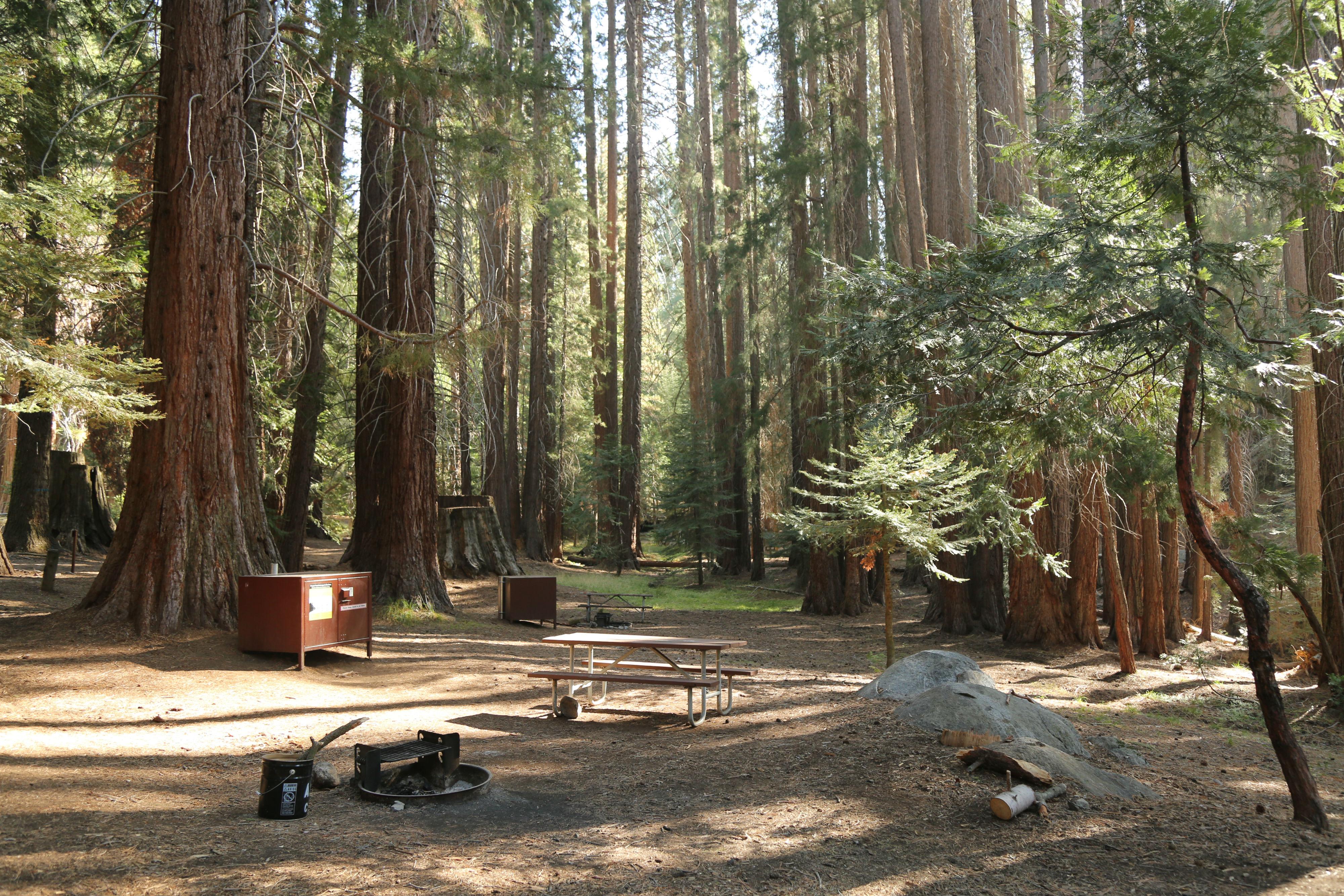 Atwell Mill Campground — Campsites