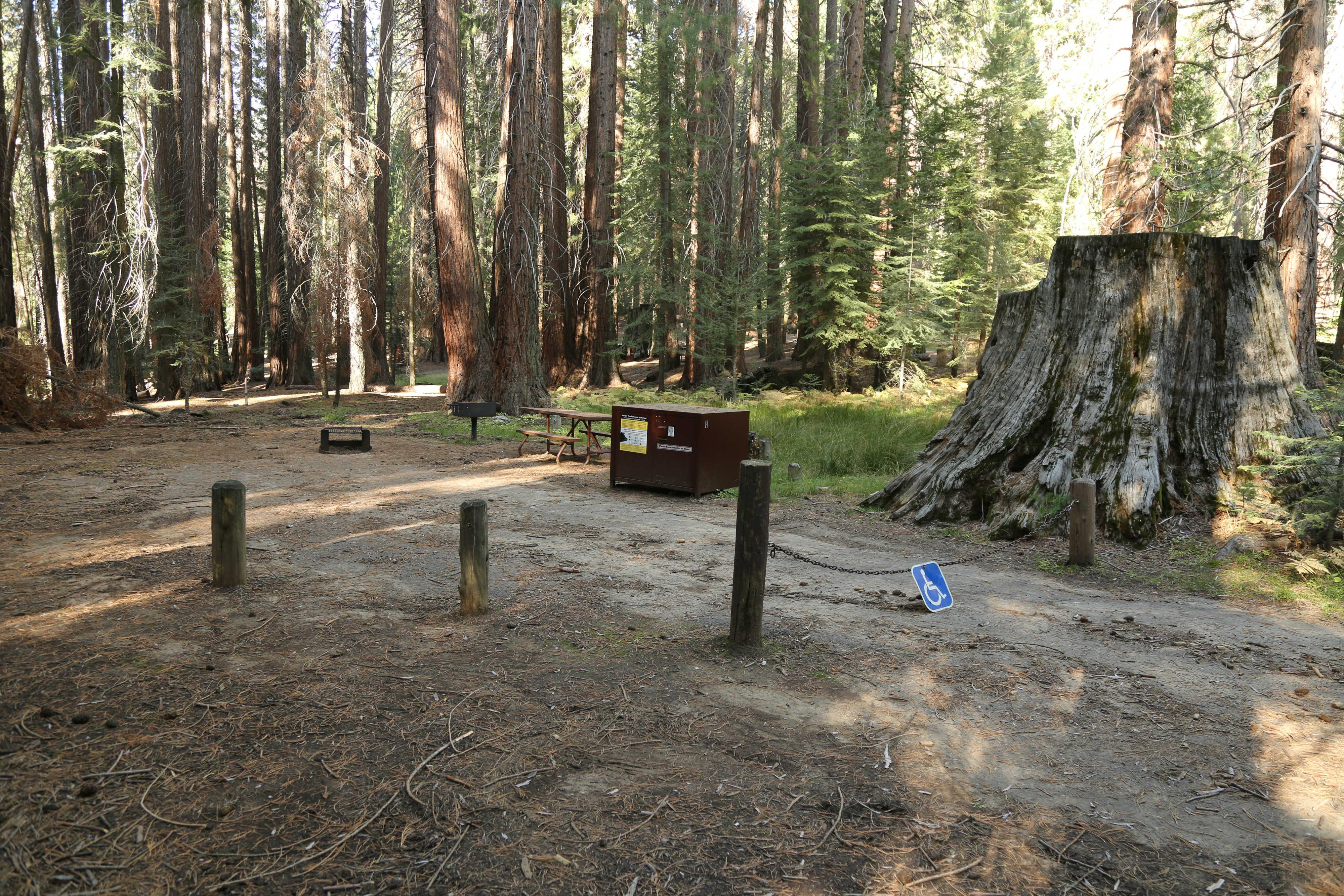 Atwell Mill Campground — Accessible Campsite