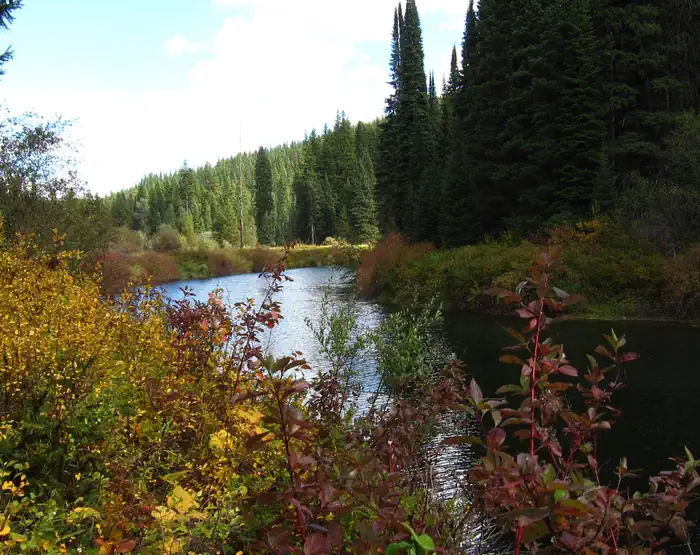 Whitetail Campground — Yaak River