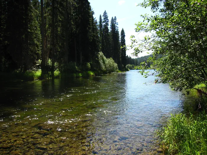 Whitetail Campground — Yaak River