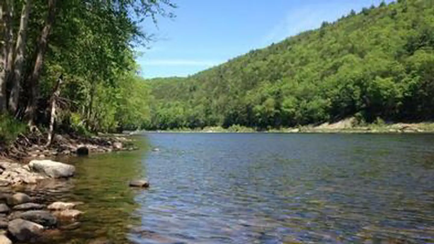 Alosa Campsites - Delaware Water Gap NRA