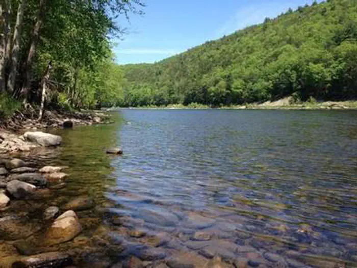 Alosa Campsites — River with greenery on the edge of the rocky shore