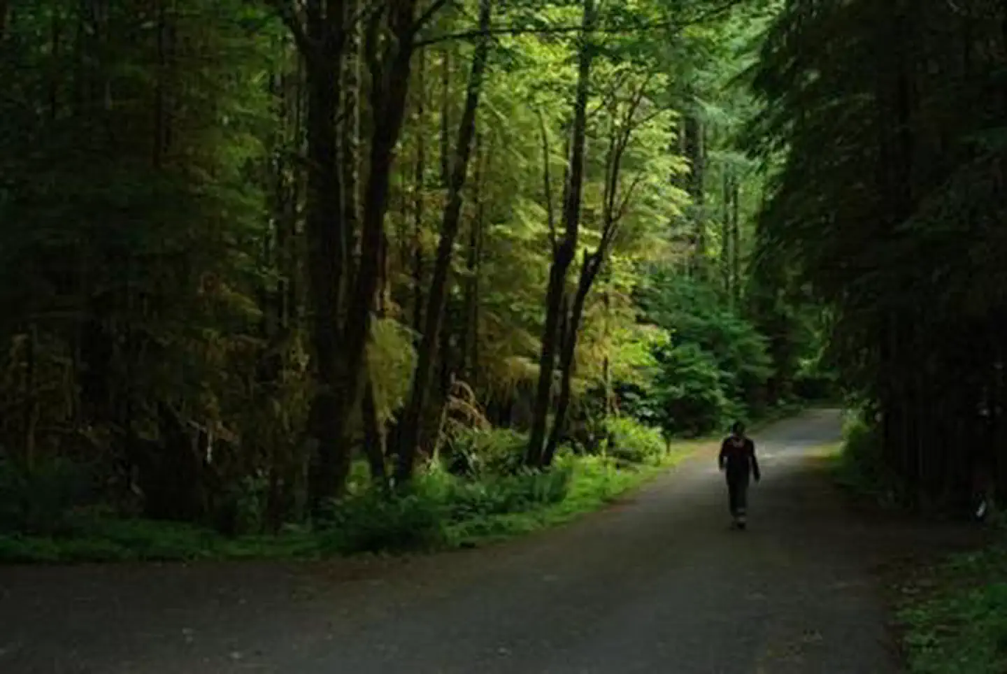 Iron Creek Campground — Iron Creek Campground