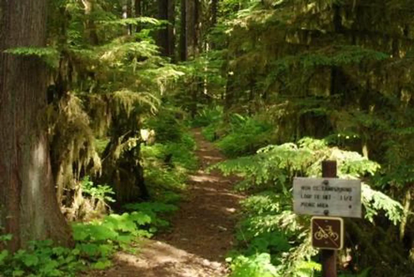 Iron Creek Campground — Iron Creek Campground
