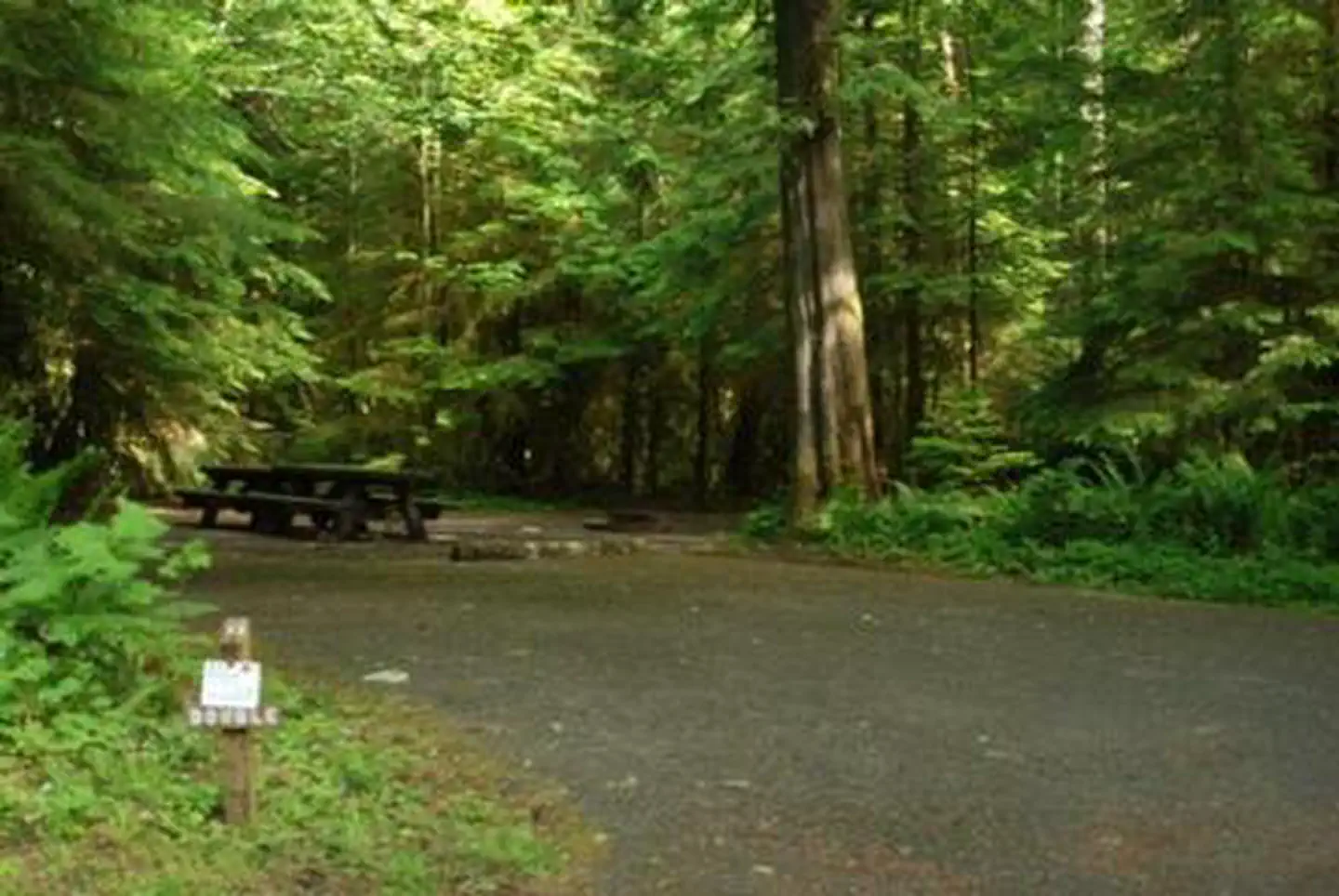 Iron Creek Campground — Iron Creek Campground