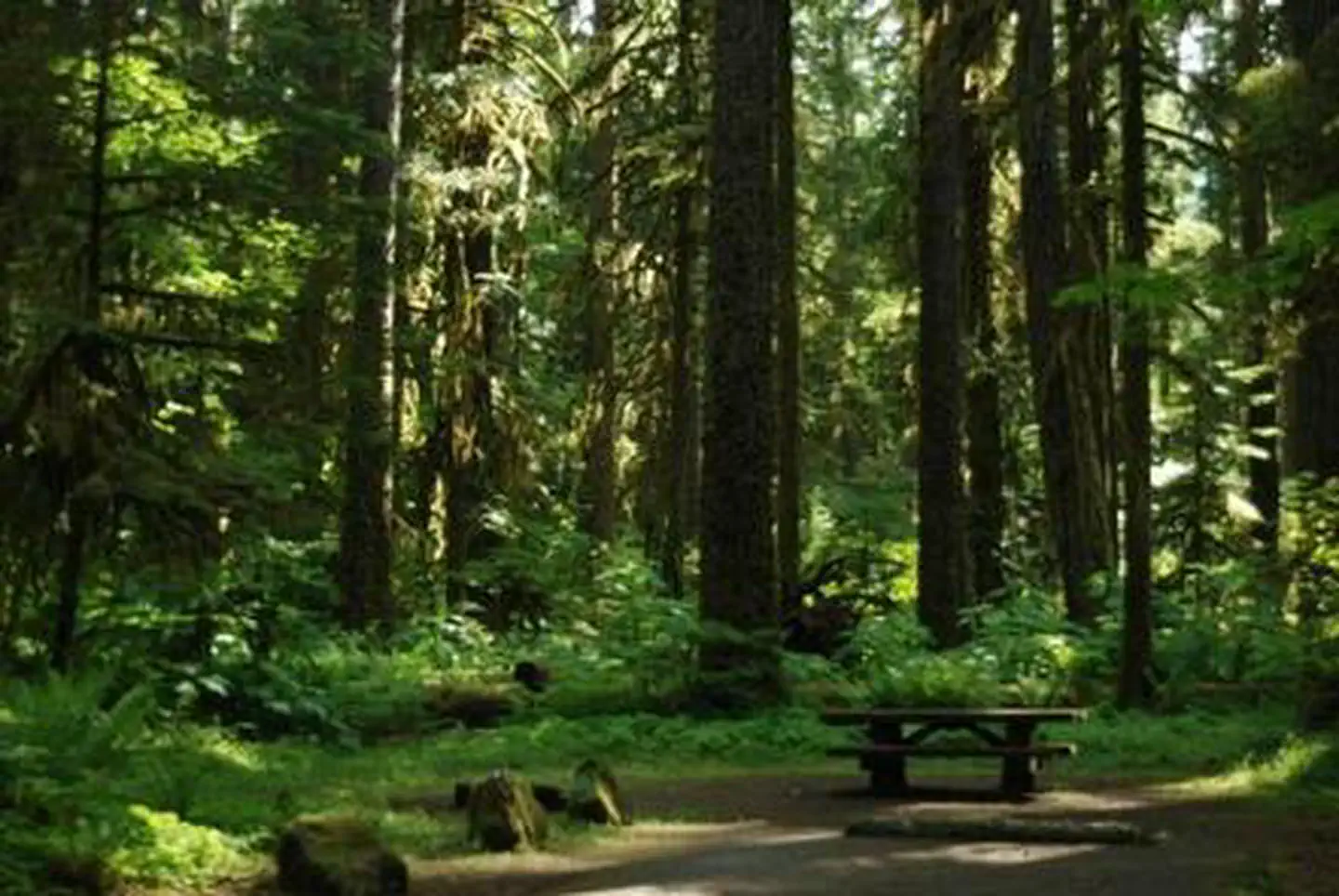 Iron Creek Campground — Iron Creek Campground
